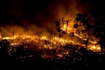 Queimadas na Floresta Amazônica foram criminosas e combinadas